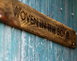blog welcome to the shed